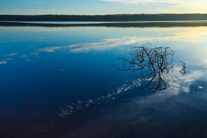 Dawn over the quiet water surface of the lake. Morning blue sky, in the water is a branch of a bizar by Michael Semenov