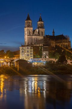 Magdeburger Dom bei Nacht von t.ART