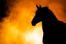 Fiery Contours - Portrait d'art d'un cheval sur Femke Ketelaar