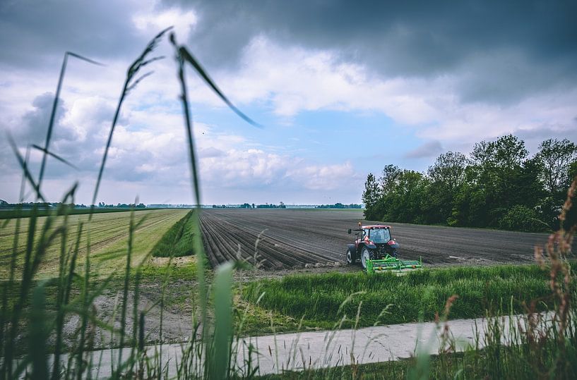 Sow plants with bad weather on the way by Pim Haring