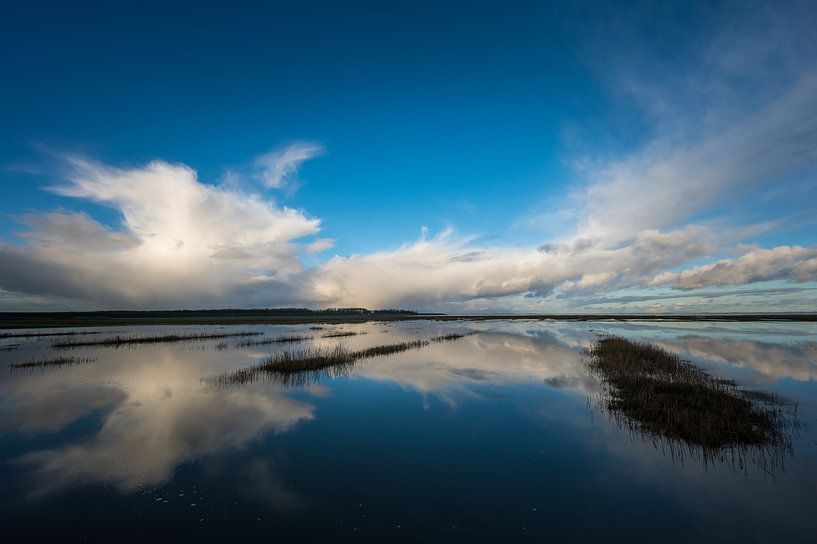 Winter cloud cover reflection by Jan Georg Meijer