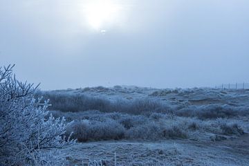 Winterlandschap van Michiel Boer