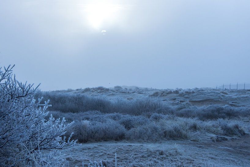 Dutch winter landscape by Michiel Boer