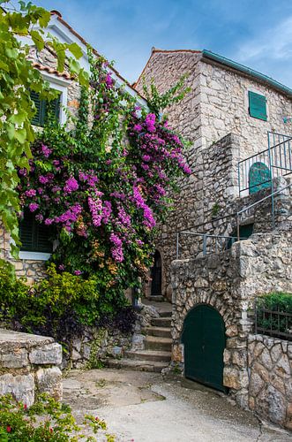 Pittoresk straatje op het eiland Krk, Kroatië