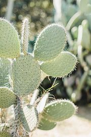 Lush and textured by Nienke van Denderen