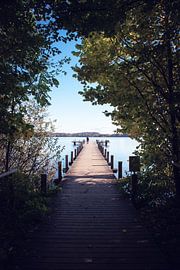 Der Blick auf den Wörthsee von D.R.Fotografie