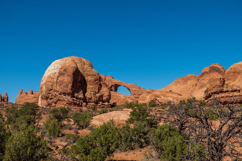 Arches National Park by Richard van der Woude
