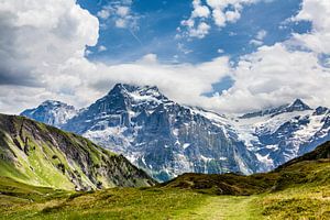Wetterhorn