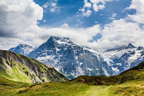 Wetterhorn