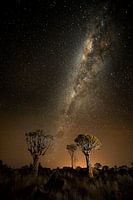 Sterrennacht Namibië