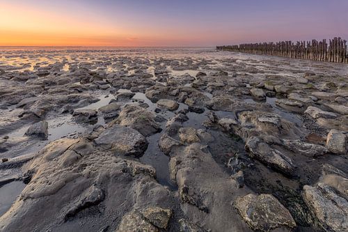 Het wad bij Wierum tijdens de zonsondergang