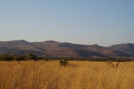 Vergezicht / View, Pilanesberg, Zuid-Afrika by Maurits Bredius