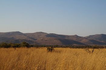 Vergezicht / View, Pilanesberg, Zuid-Afrika