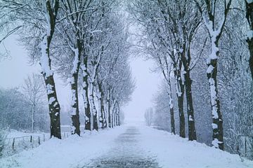 het pad naar winter wonderland van Double u photography
