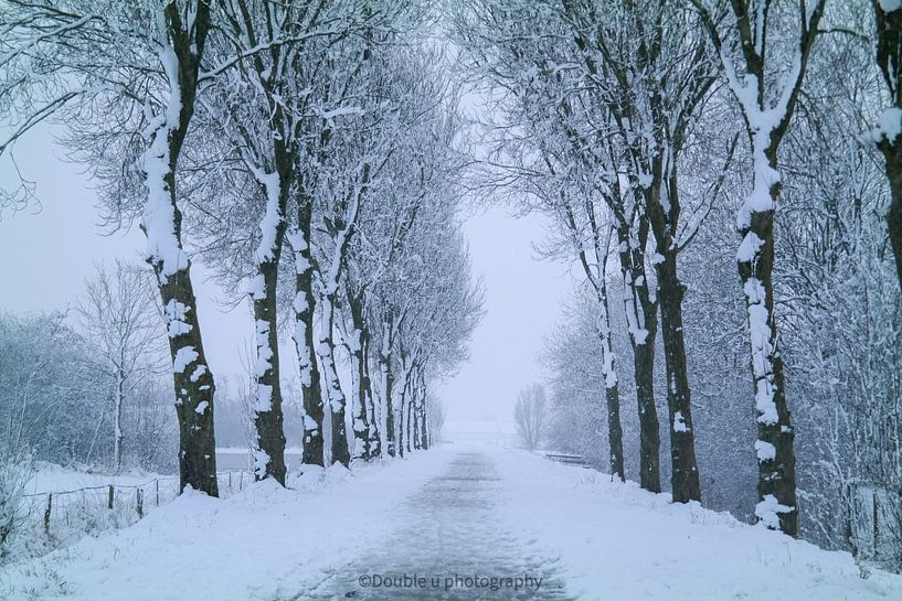 der Weg ins Winterwunderland von Double u photography