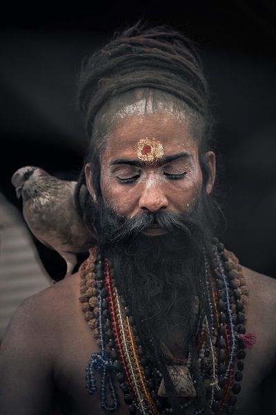 baba in colors par Edgar Bonnet-behar