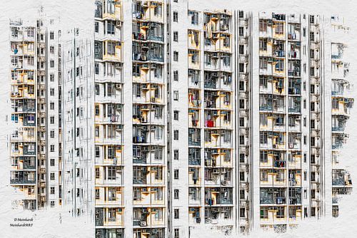 of the video. 1000 windows, 1000 stories