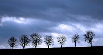 Wolkenverhangener Himmel mit Baumreihe von Rüdiger Rebmann