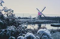 Utrecht province's smallest mill in a snowy landscape
