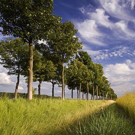 Zeeland-Flemish landscape by Linda van der Veeken