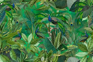 Tropical peacock garden by Andrea Haase
