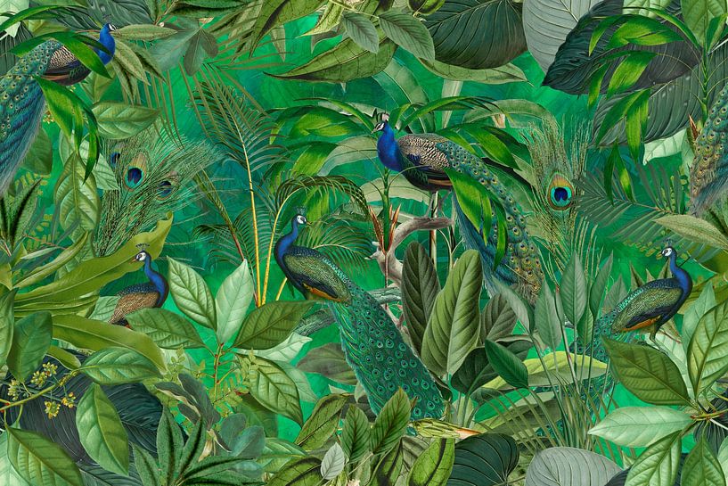 Tropische Pauwentuin van Andrea Haase