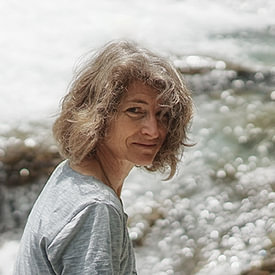 Nicc Koch Profilfoto