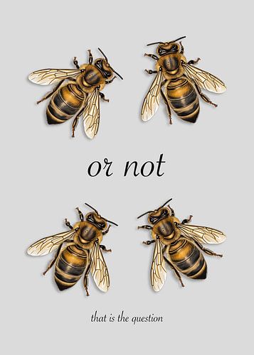 Two bee, or not two bee