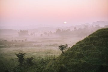 pendant le lever du soleil en regardant un beau paysage