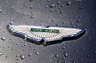 Aston Martin embleem met het logo met de iconische vleugels van Sjoerd van der Wal Fotografie thumbnail