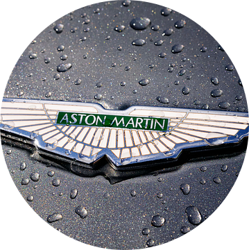 Aston Martin embleem met het logo met de iconische vleugels van Sjoerd van der Wal Fotografie