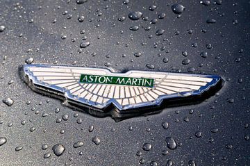 Aston Martin embleem met het logo met de iconische vleugels van Sjoerd van der Wal