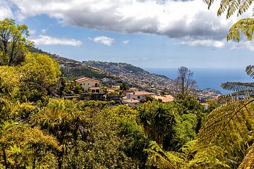 Uitzicht op Funchal Madeira van Dik Wagensveld