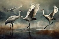 Dansende kraanvogels