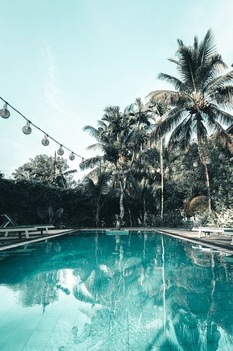 Zwembad met palmbomen en lampjes | fine art fotoprint