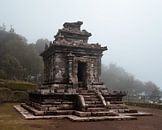 Nebel in der Gedong Songo-Tempelanlage von Anges van der Logt Miniaturansicht
