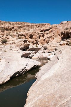 Uitgesleten rivier in rotsen bij Wadi Bani Khalid van Margot van den Berg