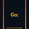 Programmation en Golang sur Wisnu Xiao