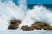 Hoge golven beuken op de rotsen van Filip Staes