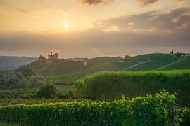 Grinzane Cavour village and castle and vineyards, Langhe by Stefano Orazzini