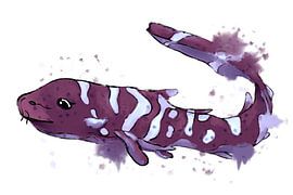 Niedliches Baby - Zebrahai von Antiope33