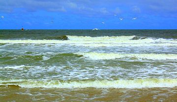 Noordzee Scheveningen