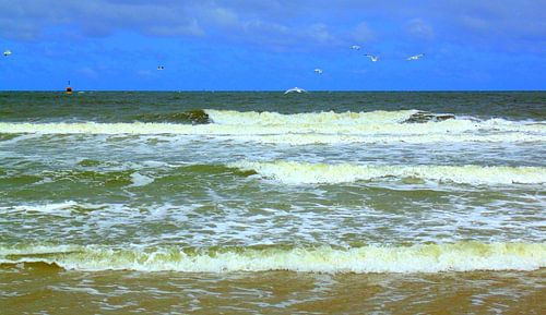 Noordzee Scheveningen
