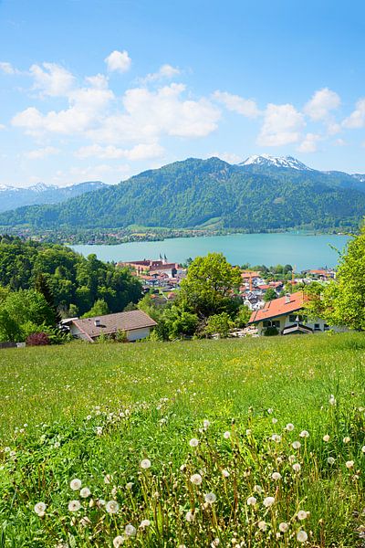 idyllic spring landscape upper bavaria, green meadow and view to by SusaZoom