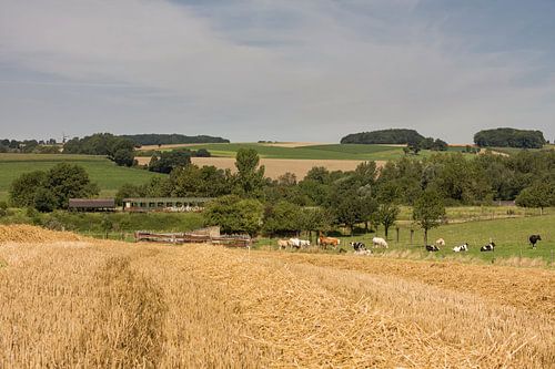 Uitzicht op oude trein en molen Vrouwenheide bij Simpelveld