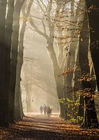 Hikers