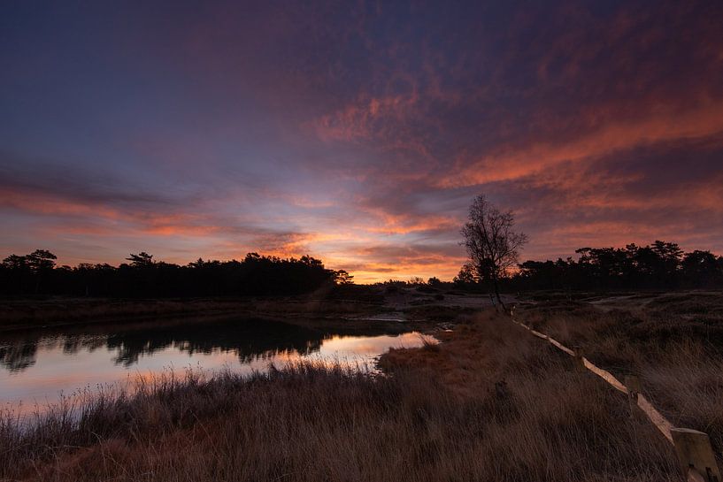 Sunrise Heidestein Driebergen Zeist by Peter Haastrecht, van
