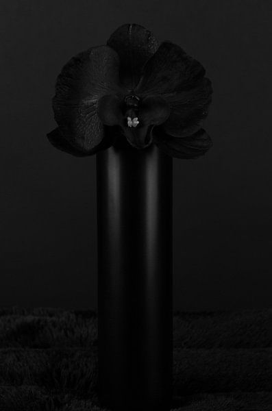 Schwarze Orchidee von Jeanine den Engelsman