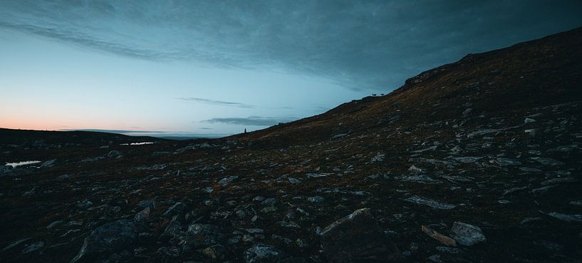 Renne regardant la vallée suédoise par JNphotography