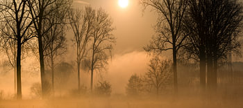 Opkomend mist op een ijzige zonnige morgen aan de Dender